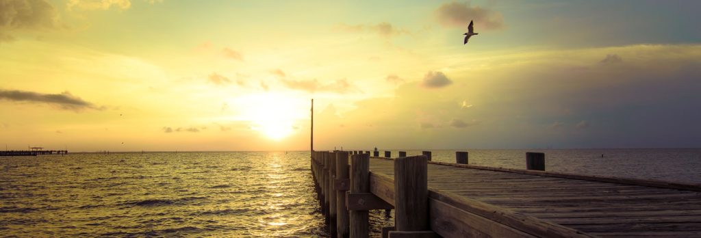 city of daphne al alta survey