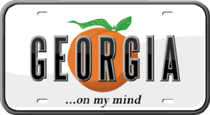 georgia | alta survey