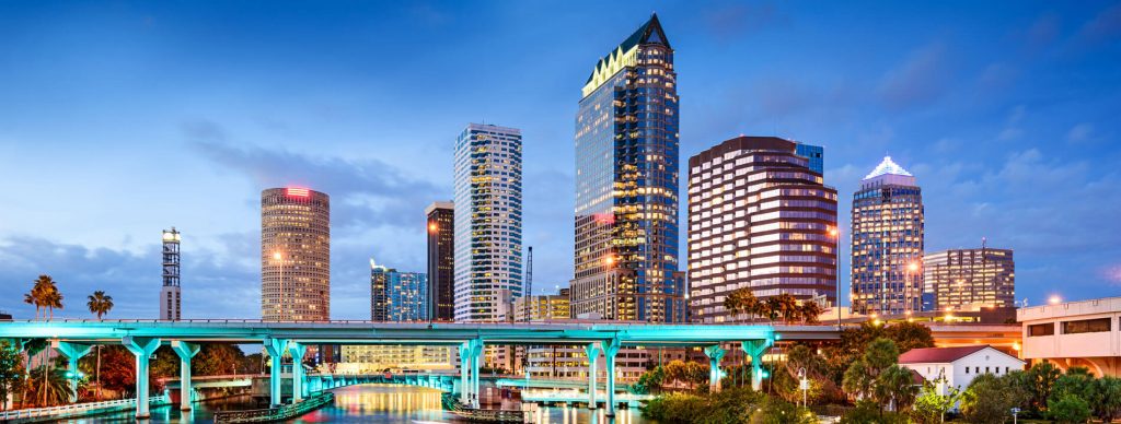 alta survey tampa fl