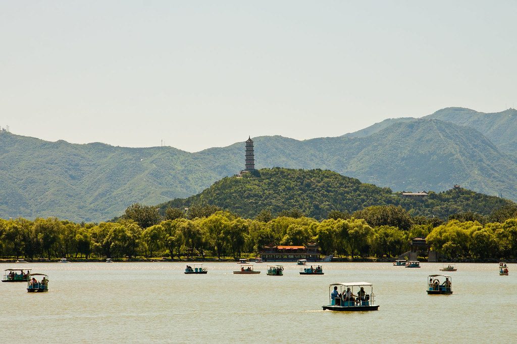 alta survey Spring Hill tn