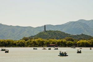 alta survey Spring Hill tn