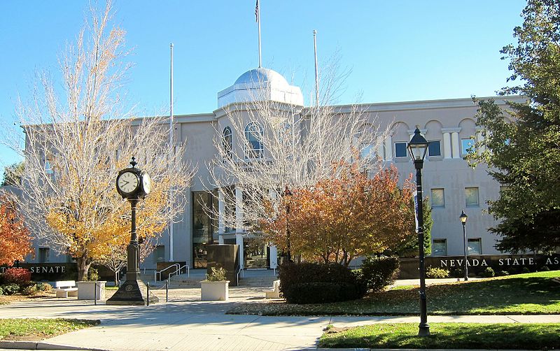 Alta Survey Carson City NV